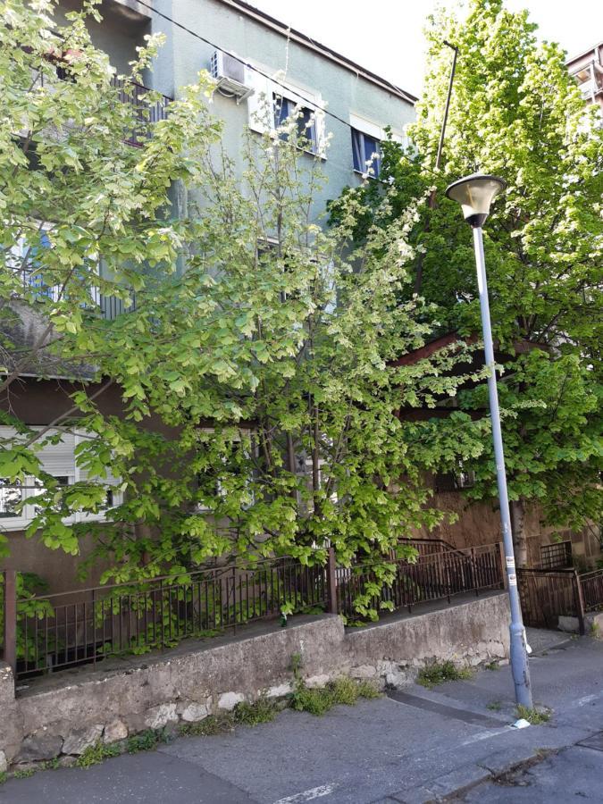 Victor Residence Belgrad Exterior foto